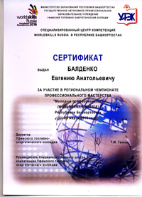WorldSkills Russia- 2016