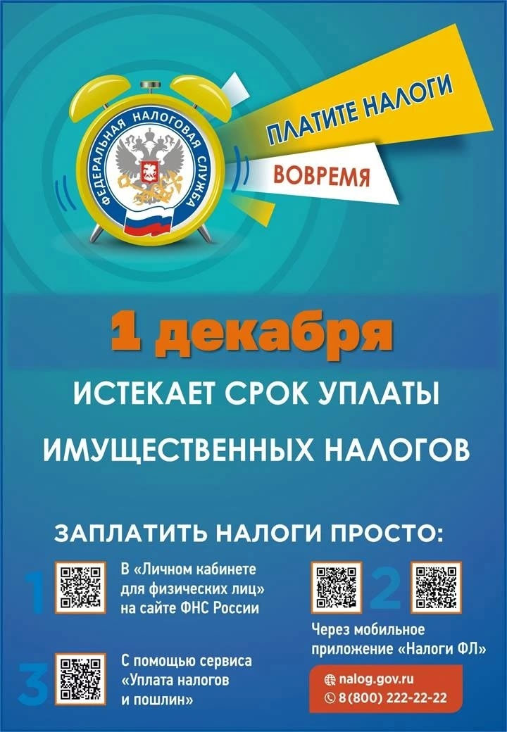 1 декабря истекает срок уплаты имущественных налогов