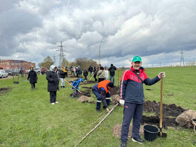 Посадка пирамидальных тополей в ходе акции Зелёная Башкирия