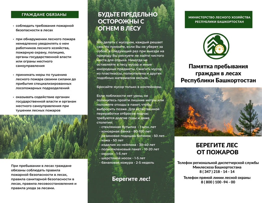 Памятка пребывания граждан в лесах Республики Башкортостан