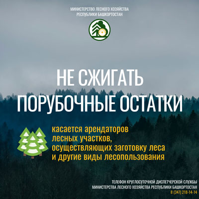 Карточки Останови огонь 2026